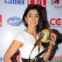 Shriya Saran new pictures | Picture 47240